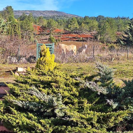 Studio " Le Fare Des Terres Rouges" Dans L Aude Arques  Εξωτερικό φωτογραφία